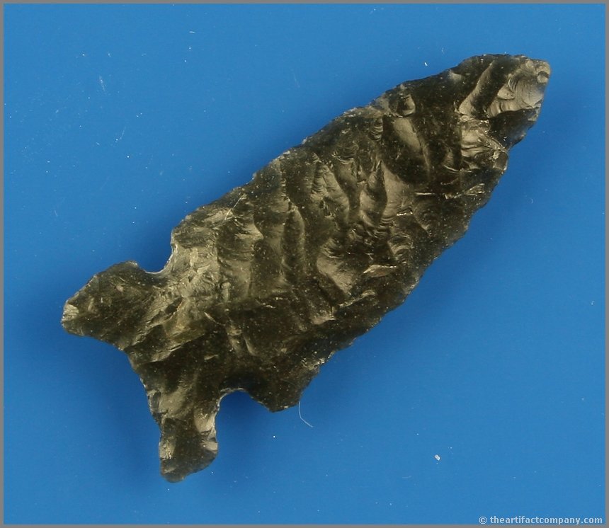 2 1/16" Northern Side Notched: Obsidian with nice translucency. Nice form and flaking. Ex- Reg Seely Collection. Lake Co., Oregon.