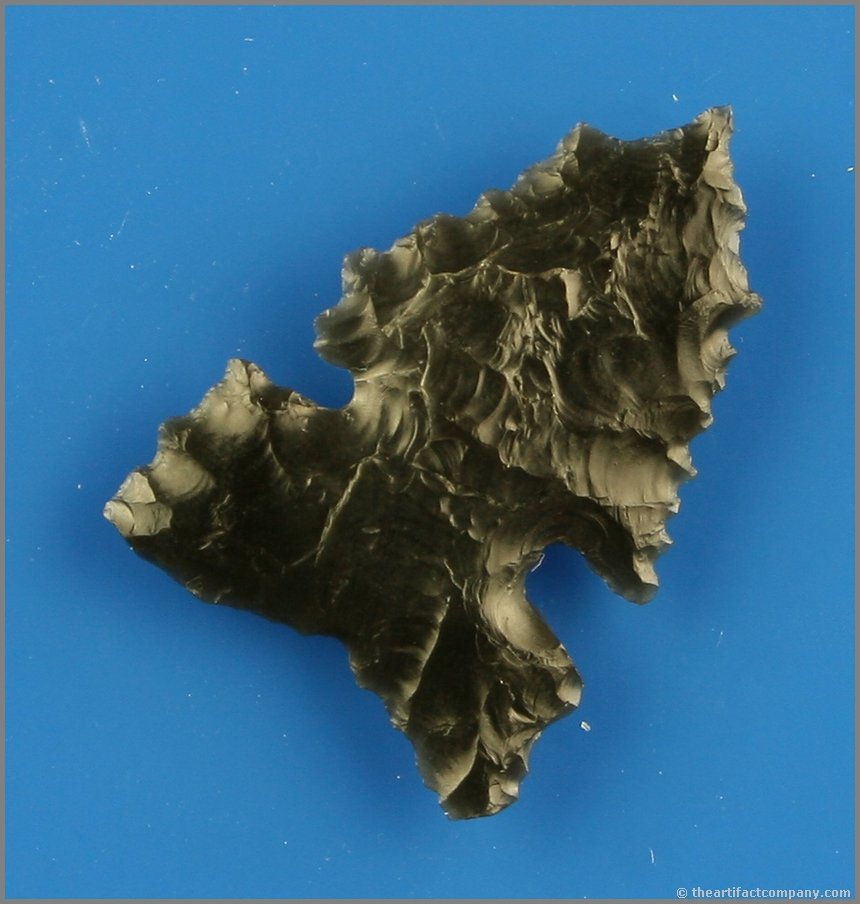 Killer 1 1/2" Northern Side Notched: Heavily serrated. Great needle tip. Very thin and nicely translucent Obsidian. Ex- Reg Seely Collection. Lake Co., Oregon.