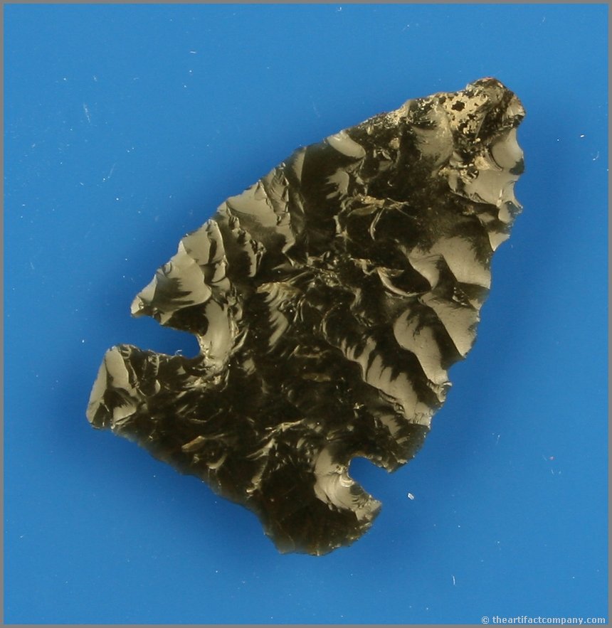 1 5/8" Northern Side Notched: Very thin and highly translucent. Obsidian. Ex- Reg Seely Collection. Lake Co., Oregon.