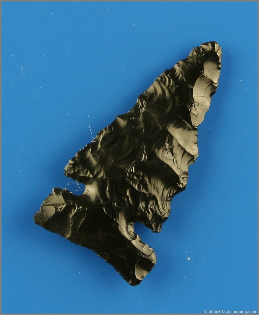 1 3/4" Northern Side Notched: Very thin. Jet Black Obsidian. Ex- Reg Seely Collection. Lake Co., Oregon.