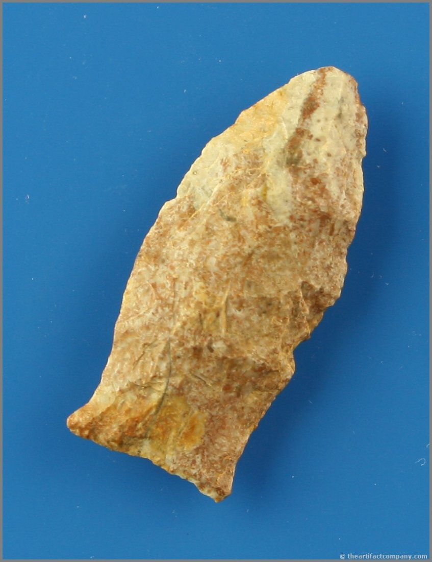 1 13/16" Beaver Lake: Highly colorful example from Kentucky in a purple/cream Boyle Chert. Very nice!