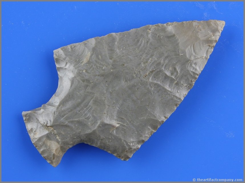 3 1/2" Super Ashtabula!: Awesome Indiana Hornstone example found near Canton, Stark Co., Ohio. Ex - Shoemaker Collection.