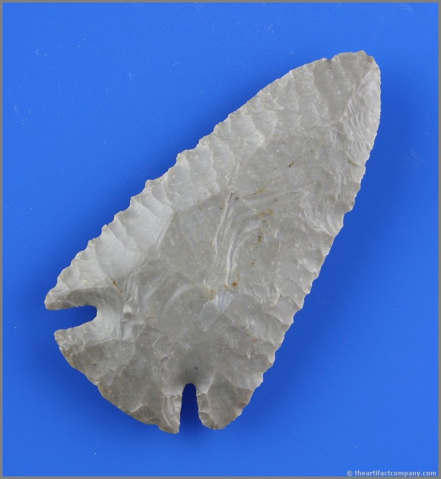 3 1/16" Lost Lake - Dickey & Howard COA's: Precise flaking and super serrations. Glossy high grade gray Genevieve Chert. Found in Kentucky. Dickey & Howard COA's.