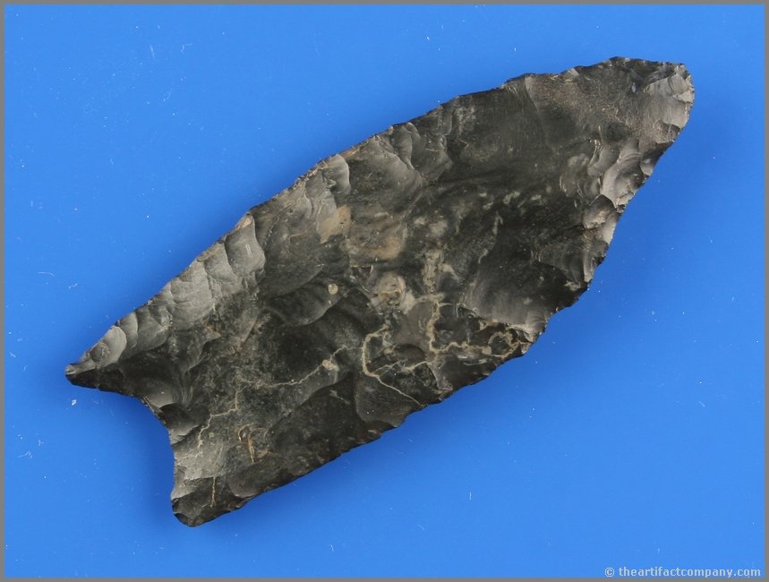 3" Clovis - Davis, Putty, Partain COA's: Union Co., Ohio example in extra pretty glossy dark blue Coshocton with white streaks. Ex- Walter Johns Collection. Davis, Putty, and Partain COA's.