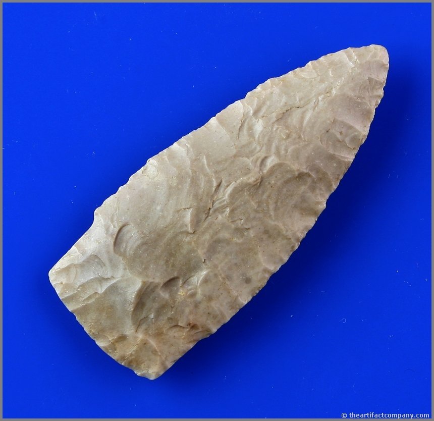 2 9/16" Scottsbluff - Jackson COA: Outstanding Cody flaking. No surprises like divots or stacks. Each flake is precise. Pretty high grade creamy fossil chert with nice sheen. Osage Co., Oklahoma.