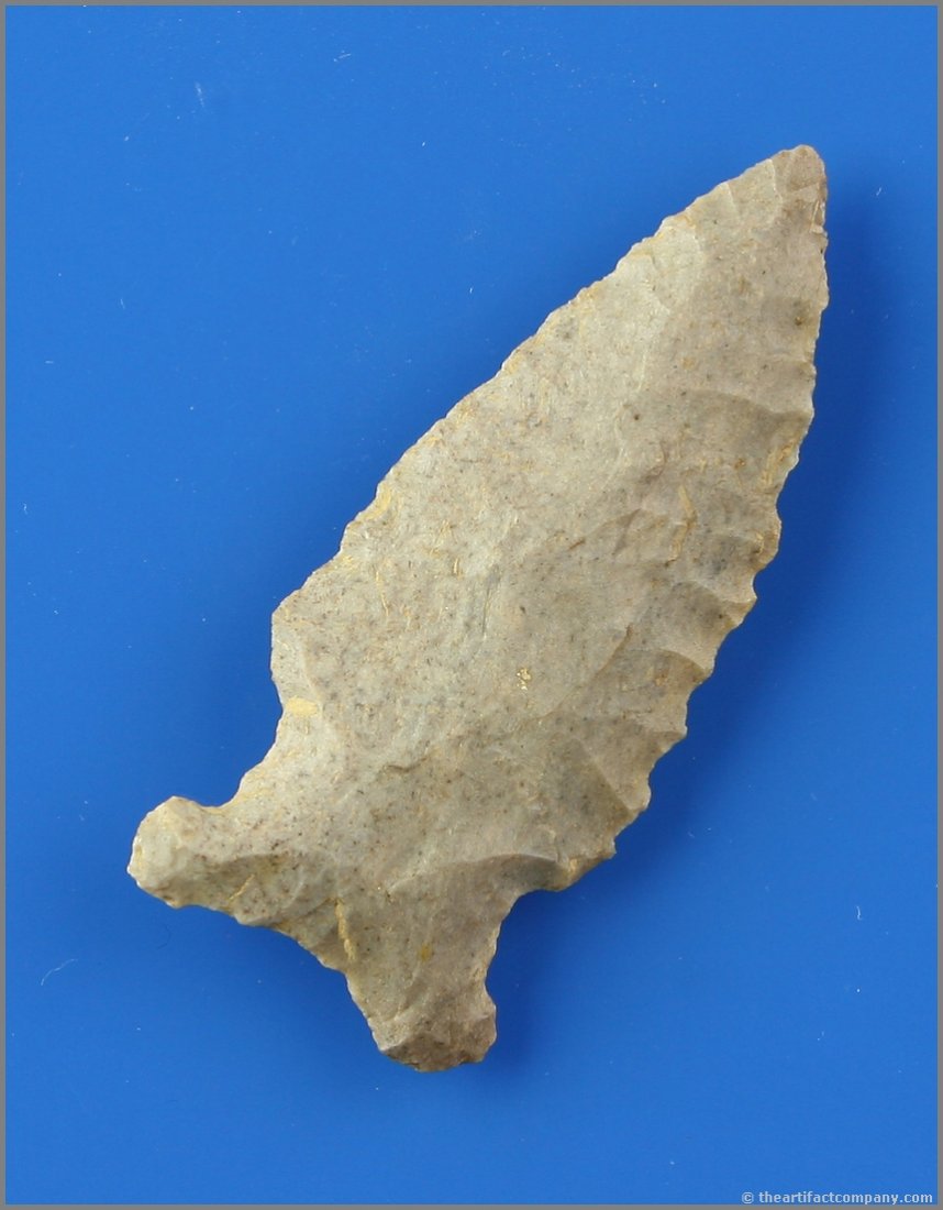 2 5/16" Big Sandy E-Notch - Davis COA: Nice example with distinct 'E's' and serrated edges. Personal find of Todd Hughes in Logan Co., Kentucky. Pretty light gray Hornstone. Davis COA.