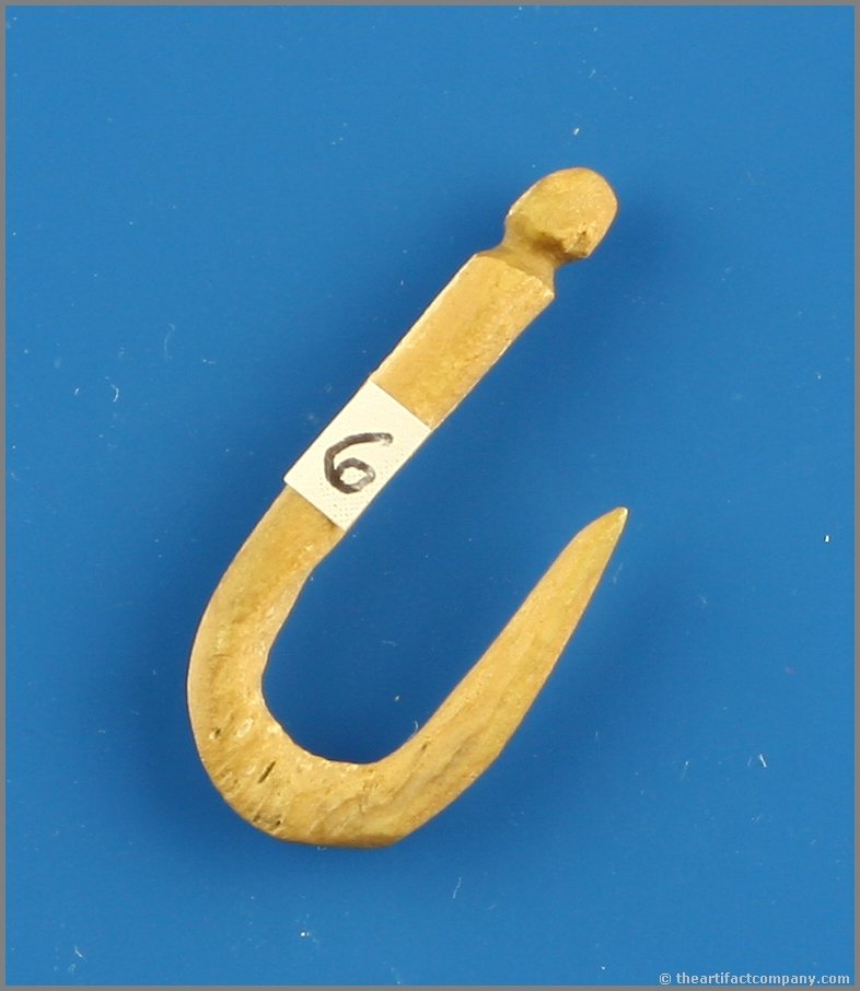 1 1/4" Bone Fish Hook: Wisconsin rarity found by Ernest Schug in Winnebago Co., Wisconsin.