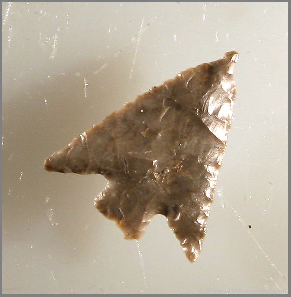 3/4" Columbia Plateau: Gray high grade chert example from Washington State.