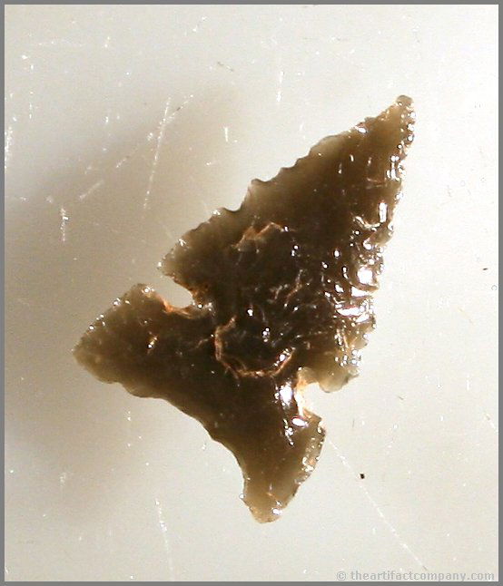 13/16" Desert: Obsidian example from Oregon. Nice thin example with translucency.