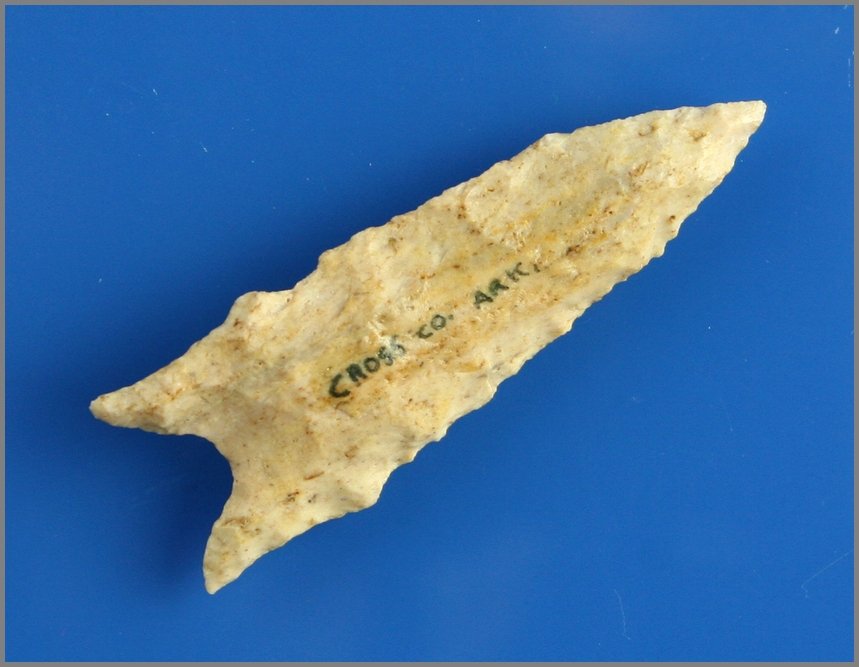 2 3/8" Dalton: Cross Co., Arkansas Fossiliferous Chert example.