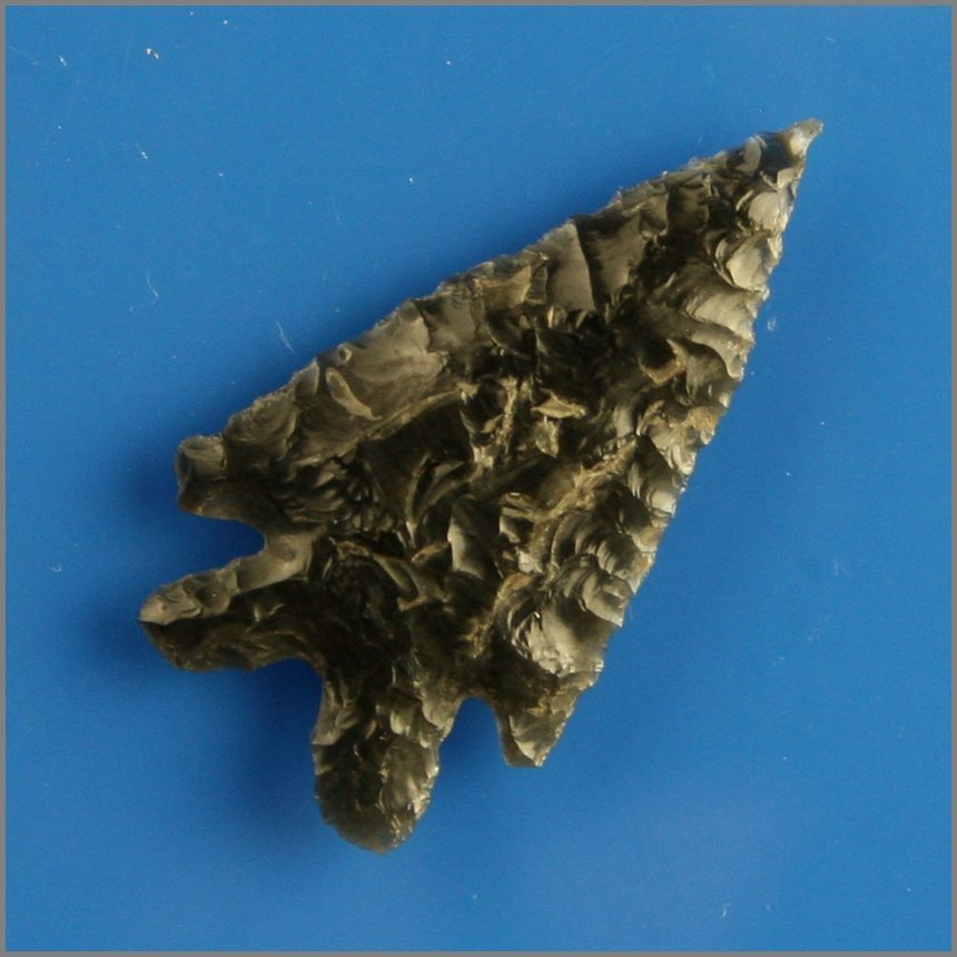 1 11/16" Elko - Jackson COA: Found by Justin Matthews in Klamath Co., Oregon. Obsidian. Jackson COA.