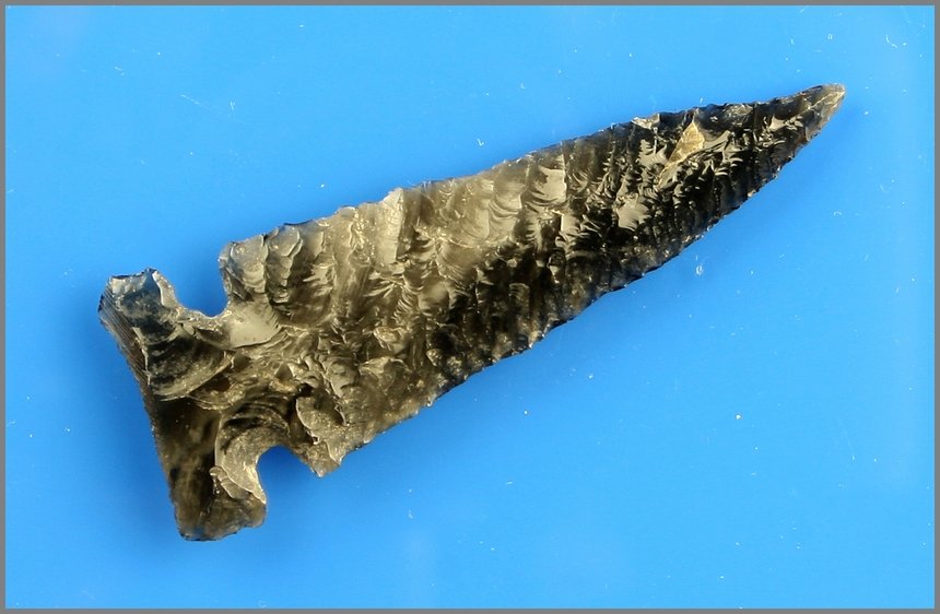 2 5/16" Northern Side Notched - Jackson COA: G-10 grade artifact found by Justin Matthews in Klamath Co., Oregon. Jackson COA. Excellent banding in this translucent obsidian.