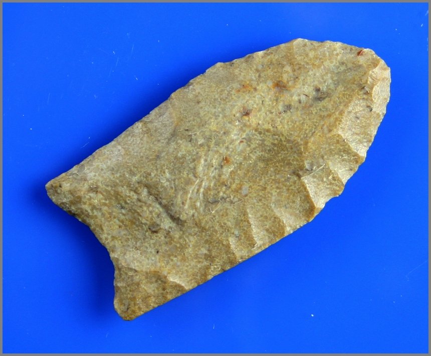 2 9/16" Clovis: Fossil laden chert example from Indiana. Nice!