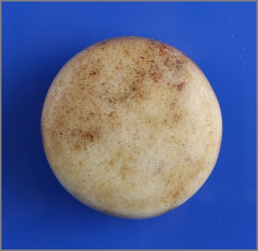 2 1/4" G10 Biscuit Discoidal - Jackson COA: Highly polished example from Madison Co., Illinois. G-10 museum grade all the way! Ex - Rob Carter Collection. Jackson COA.