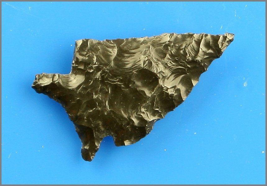1 5/16" Elko Corner Notch: Nice dark Obsidian example from CA/OR.