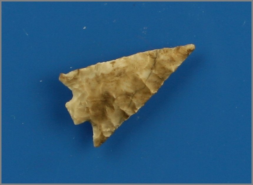 3/4" Wallula: Chert example from Washington state.