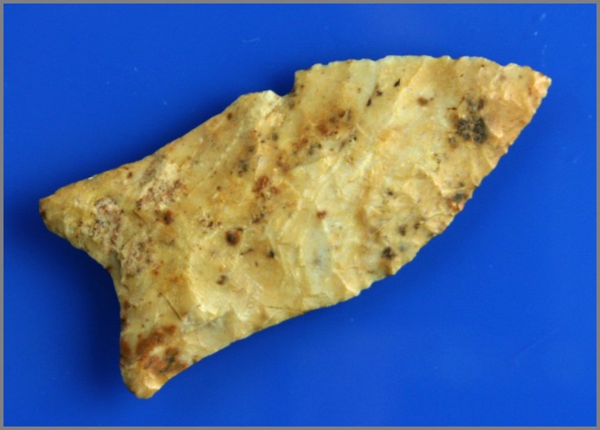2 13/16" Quad - Stermer COA: Found in Western Tennessee and made from a mottled multicolor fossil chert. Ex - Tom Davis Collection. Ben Stermer COA.