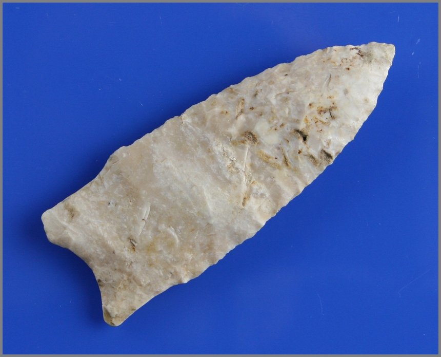 2 15/16" Holland - Jackson COA: Found by Guerden Christianson in Lee Co., Iowa and ex Bill Vermace collection. Pretty fossiliferous chert.