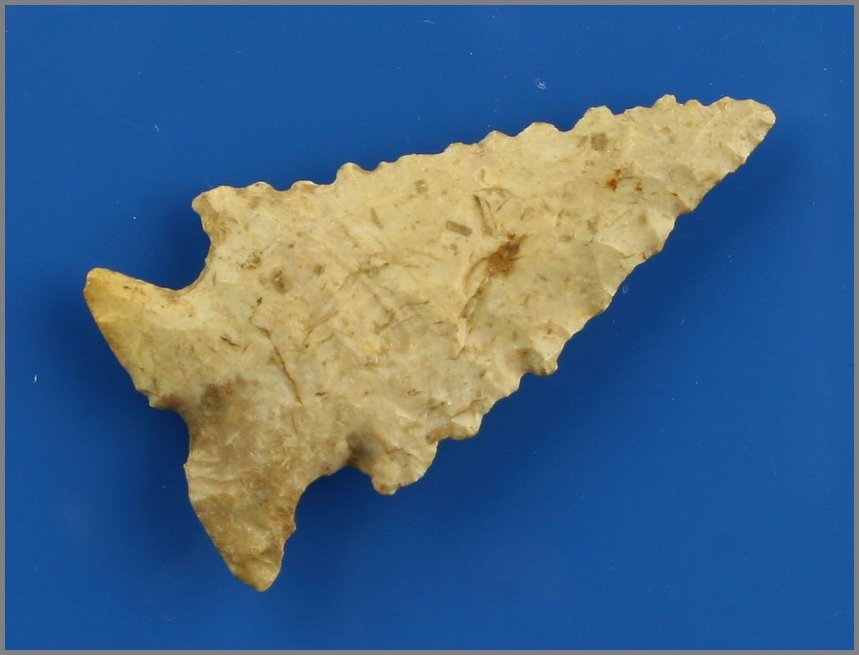 2 1/8" Pinetree: Boyle chert example from Mason Co., Kentucky. Nice!