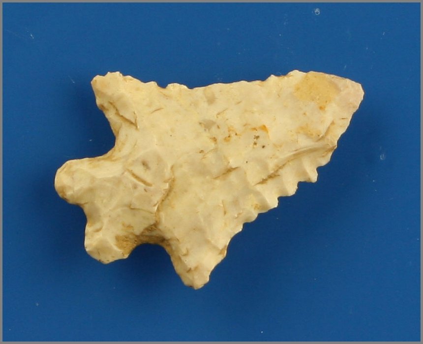 1 5/16" LeCroy: Boyle chert example from Mason Co., Kentucky.