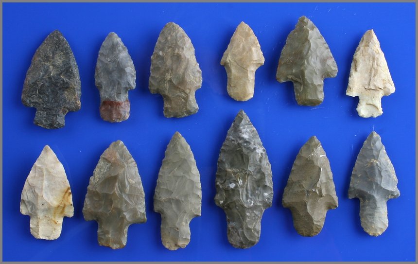 12 Super Adenas!: Kentucky assortment of materials - Hornstone, Fort Payne, Boyle Cherts. Really nice grouping from around the Lexington, KY area and surrounding Counties.