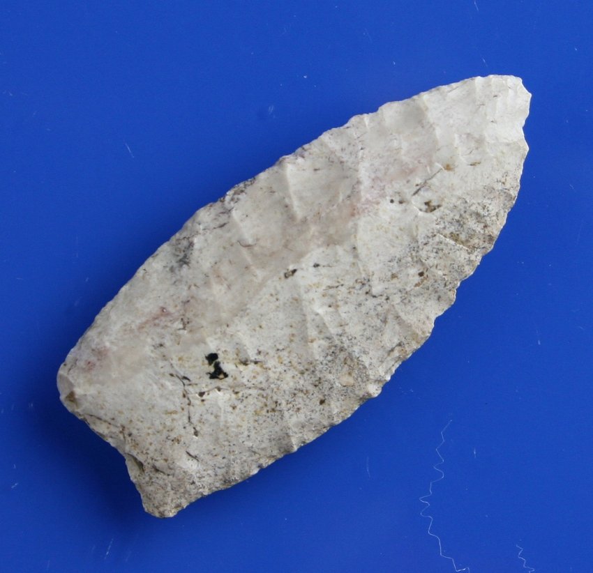 2 3/8" Browns Valley: Cream fossil chert example from Illinois. Nicely flaked.