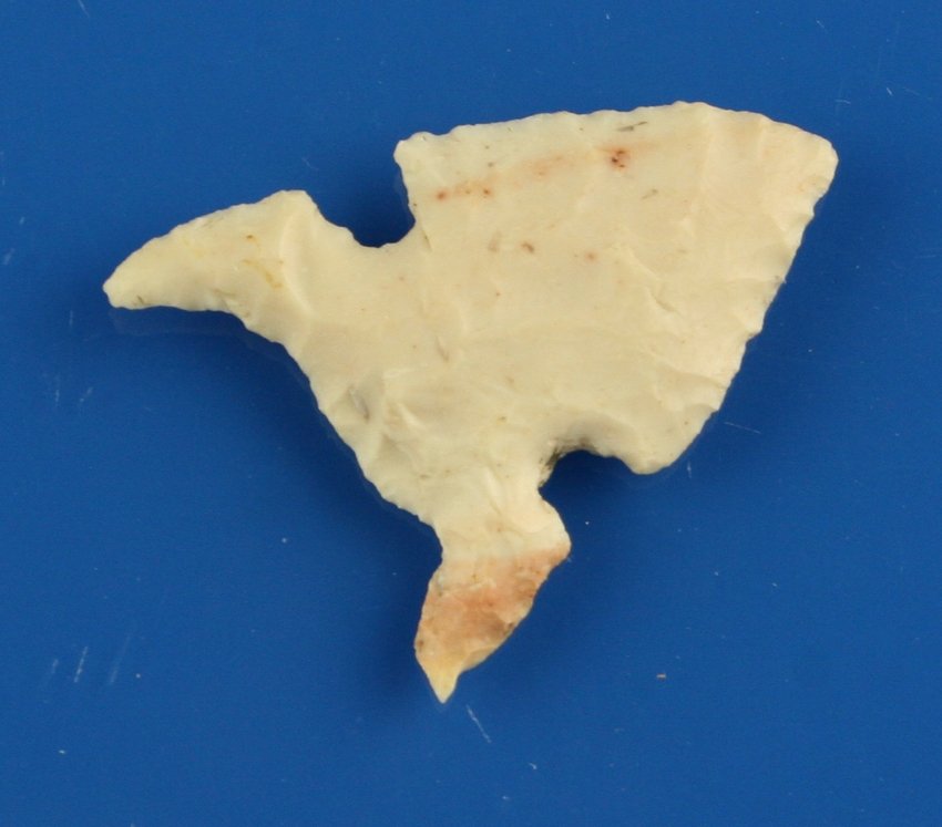 1 3/4" Exotic Side Notch: Found near Cahokia Mounds in St. Clair Co., Illinois. White Burlington.
