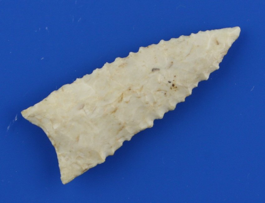 2 9/16" Dalton - Jackson COA: Excellent example in translucent Burlington chert from Illinois. Nicely serrated. Ex - Davidson. Jackson COA.