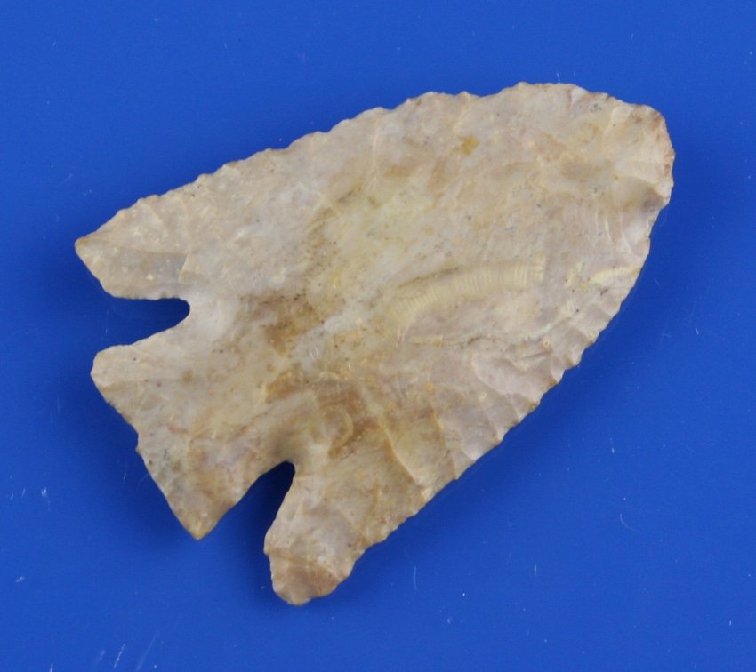2 3/8" Lost Lake: Boyle Chert example from Mason Co., Kentucky. Nicely flaked.