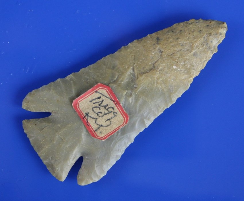 3 9/16" Lost Lake - Jackson G-8+ COA: Extra fine Carter Cave example with great symmetry and deep notches. Extremely well made and very thin for the type. Found in Trigg Co., Kentucky.