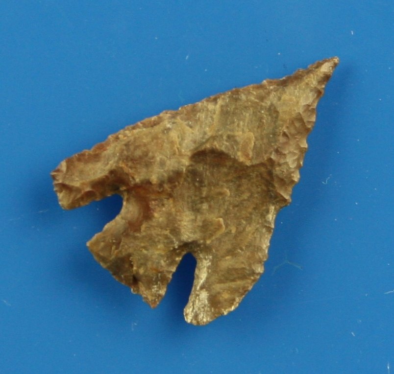 1 1/8" Eastgate: Nice example found on a private ranch in Lassen Co., California between 1940-1965. Petrified wood.