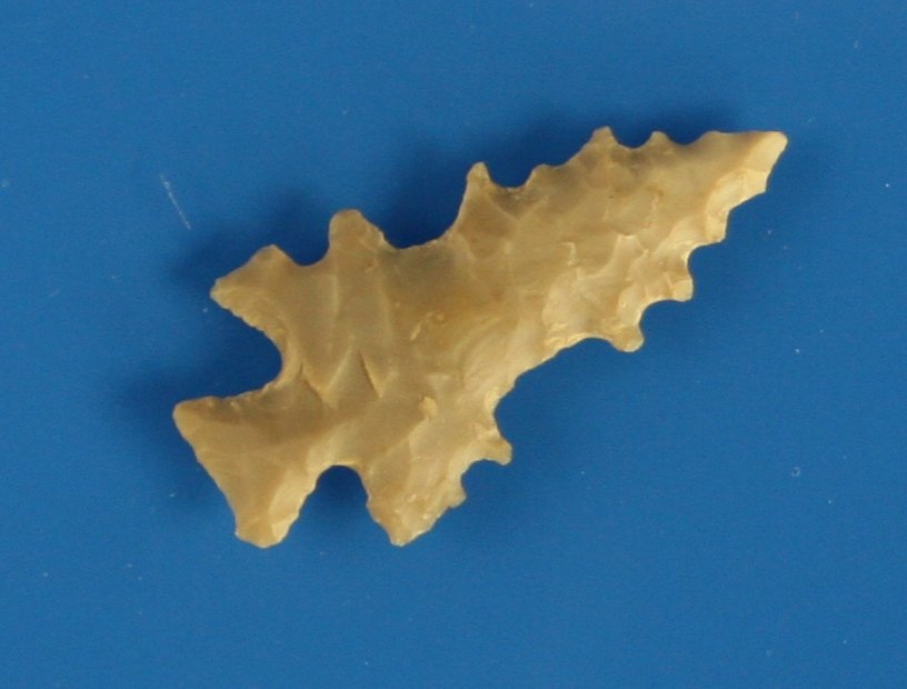 1 1/8" Steiner - Jackson COA: High grade Edwards chert. Exotic form with excellent symmetry for the type. Central Texas.