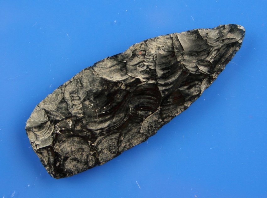 3 1/16" Owl Cave - Rogers COA: Found on Private Property by Fred Heimbigner in the 1940's/50's. Obsidian with a Rogers COA.