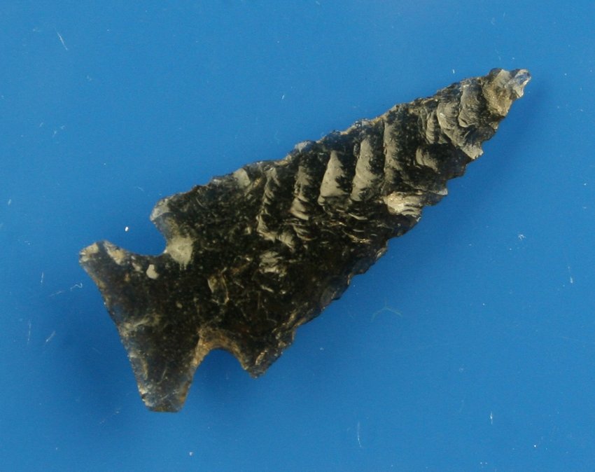 1 11/16" Rose Springs: Obsidian example from Northern California. Nice!