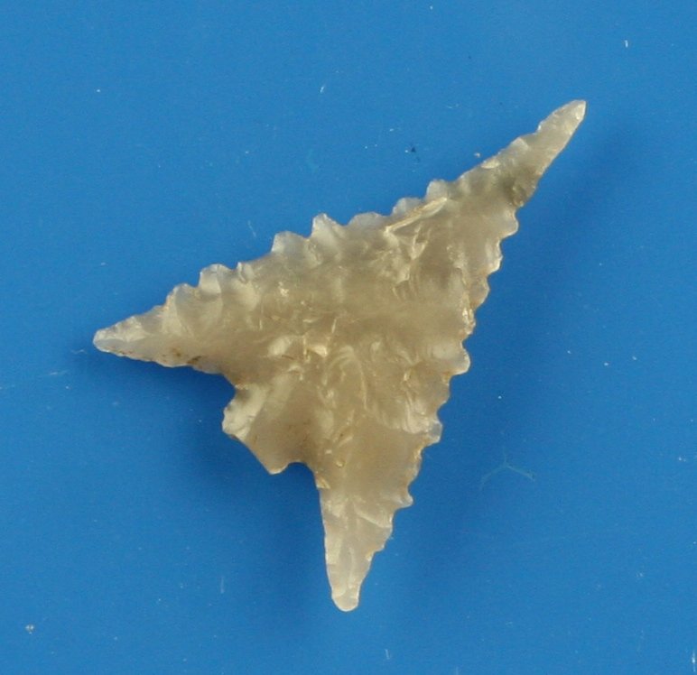 1" Gunther: Serrated example in translucent smoky obsidian from Northern California. Nice!