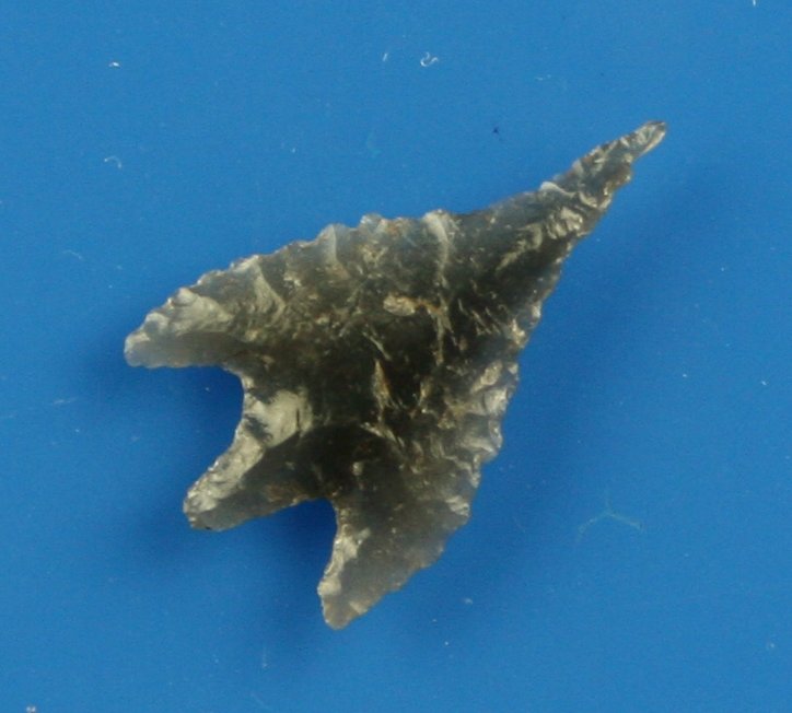 1" Gunther: Obsidian example from California. Nice!