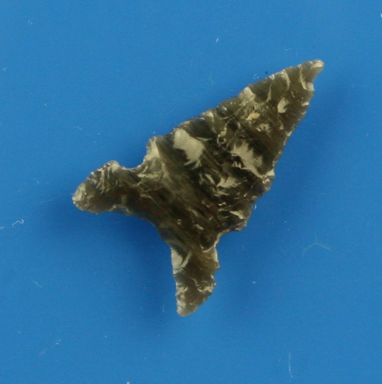 1" Desert: Obsidian example from Northern California.