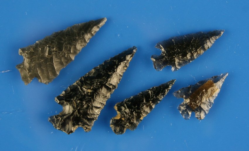 5 Nice Obsidian Points: Nice assortment found by Reg Seely and the Beaushane family between 1940-1971 in Lake Co., Oregon.