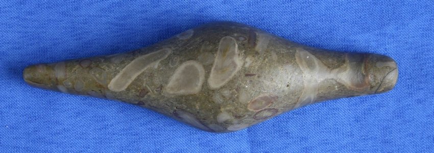 4 3/4" Lizard Effigy/Gorget - Jackson COA: Nice example made in Petoskey stone from Michigan. Ochre residue on base. Jackson COA