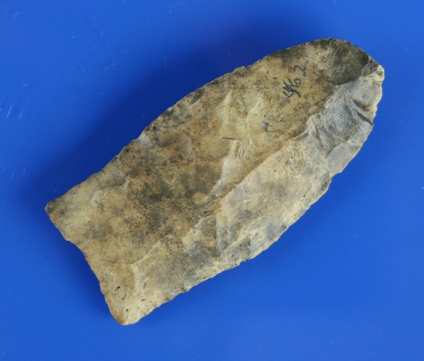 2 1/2" Georgia Clovis - Rogers COA: Fluted on one side with second platform set up for the other side.Light bown and dark brown mineral stained chert. Found in Bartow Co., Georgia. Ex- Bickers, Ray, Sorter, and Lucas Strubler. Rogers CO