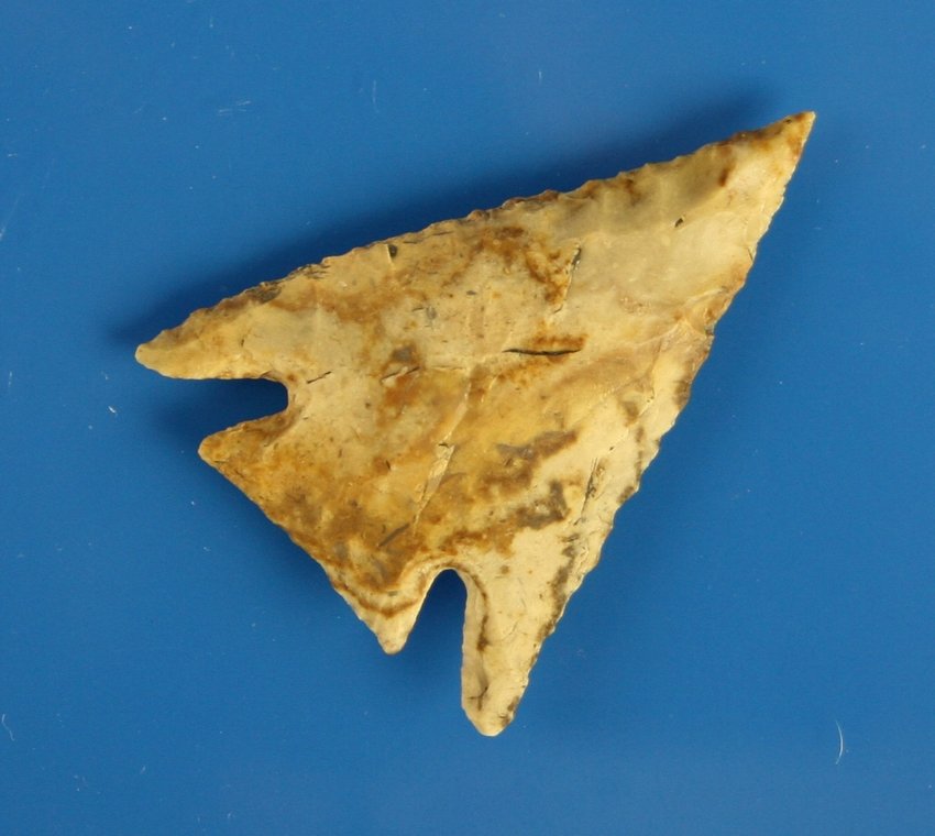 1 3/4" Killer Marcos - Jackson COA: Beautiful stripped chert. Great symmetry and extra thin. Texas.
