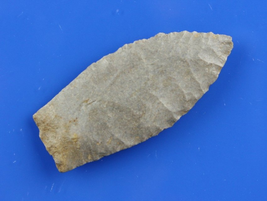 2 1/4" Agate Basin: High grade gray fossil chert example from Kentucky. Nice!