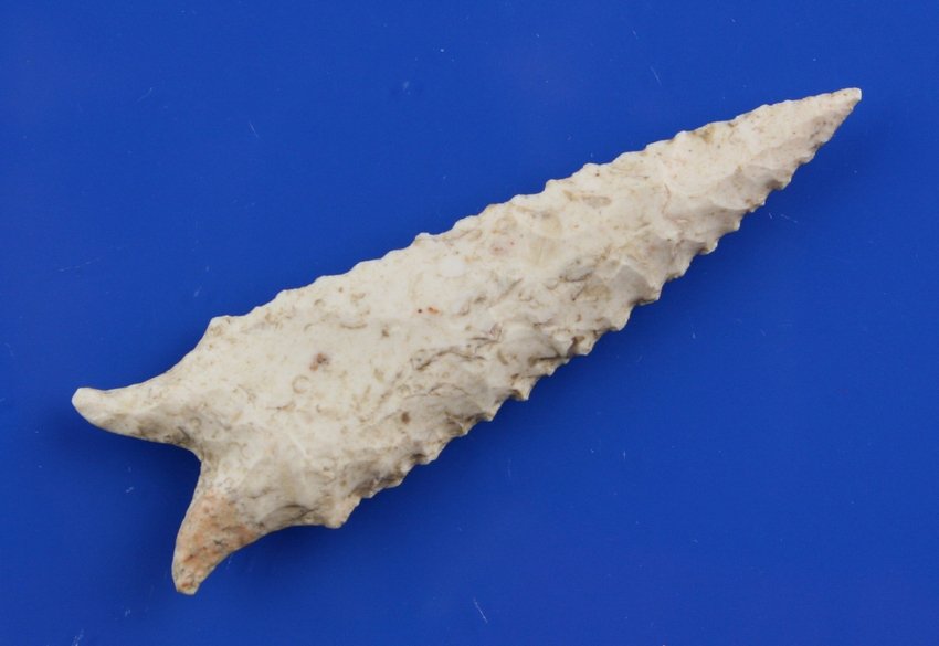 3 1/4" Dalton - Stermer COA.: Burlington Chert example from Missouri.