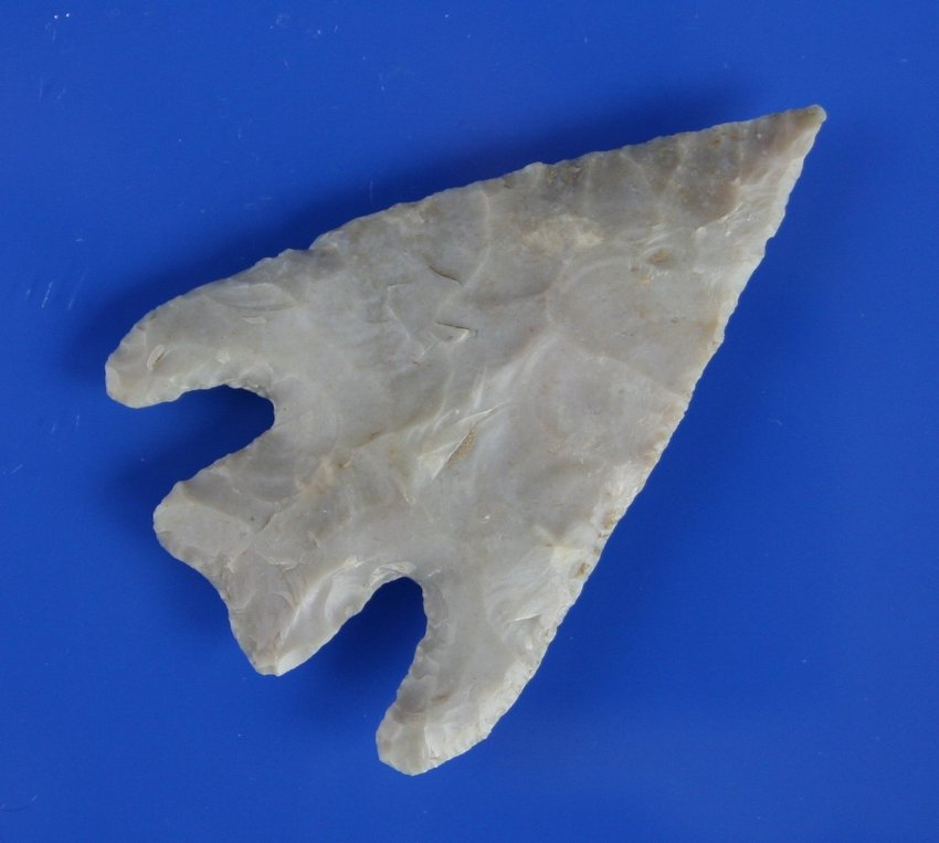 2 5/8" Marshall - Jackson COA: Superb example from Central Texas. Glossy high grade cream chert with some translucency around the perimeter. Great symmetry, form, and flaking.