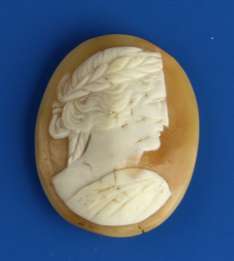 1 9/16" Victorian Cameo of Zeus: Classical Greek figure of Zeus. Unmounted Carnelian Shell.
