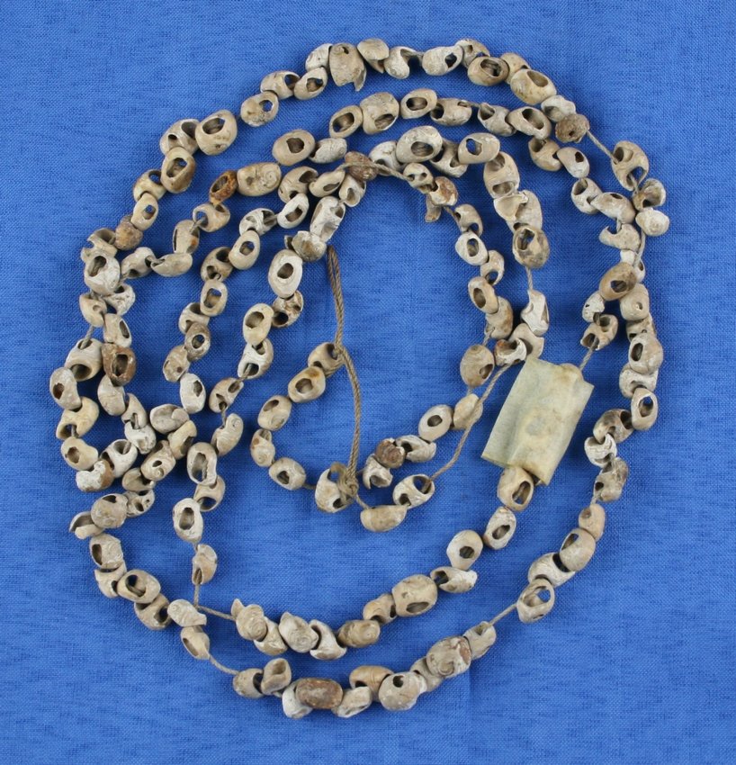52" Prehistoric Shell Bead Necklace: Nice example with tag that reads 'Spiro Mound' so assuming LeFlore Co., Oklahoma origin. Estate find.