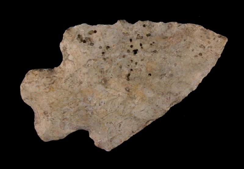 2 1/8" Heavy Duty: Fossil chert example found by Ernest Schug in Dodge Co., Wisconsin.