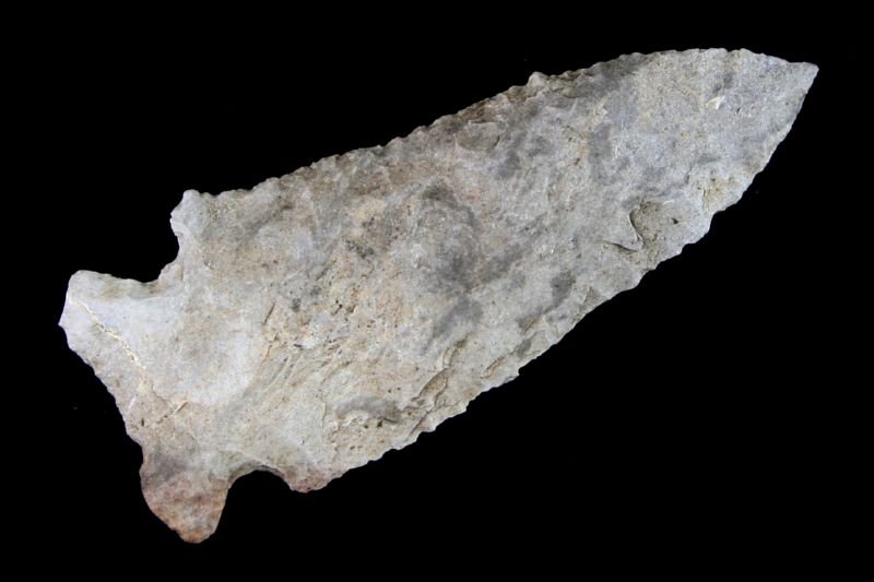 2 1/2" Archaic Corner Notch: Nice gray fossil chert example found by Ernest Schug in Dodge Co., Wisconsin.