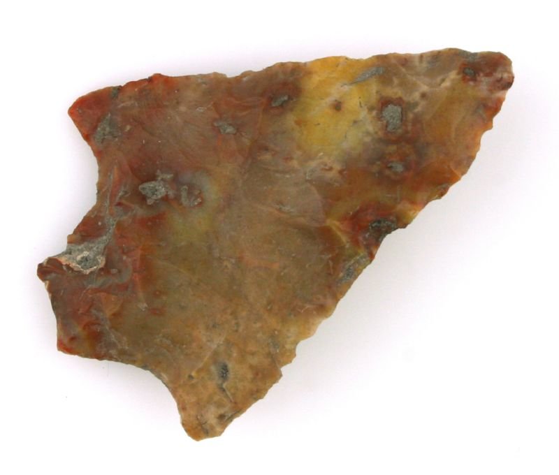 2 3/8" Newnan: Colorful chert example from Florida. Ex - Leland Collection.