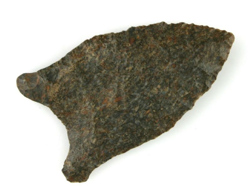 RESTORED 2" Quad: Fossil chert example with approx 1/4' of restoration to one ear. Nice!